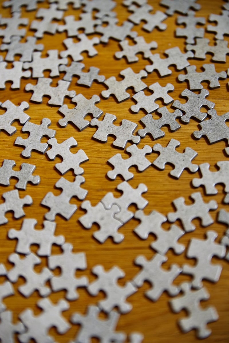 Job Search Puzzle